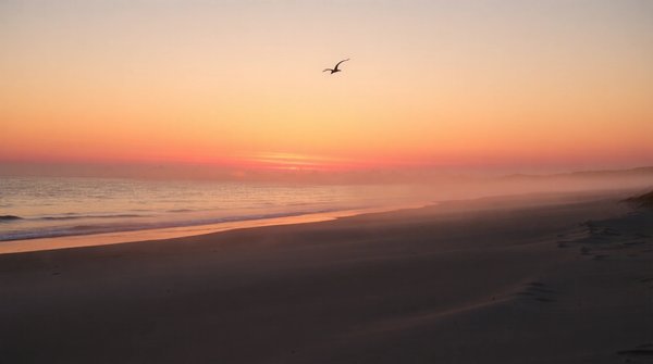 Liste d'astuces pour des voyages sereins et inoubliables